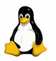 Quality Linux Website hosting