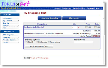 ecommerce web development : shopping cart.