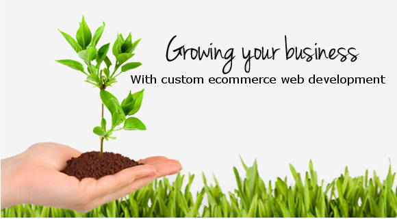 Custom ecommerce web development