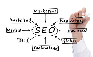search engine optimization : seo